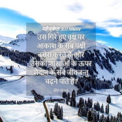 Picture 04 - यहेजकेल 31:13 HINIRV - उस गिरे हुए वृक्ष - Bible Verse Picture