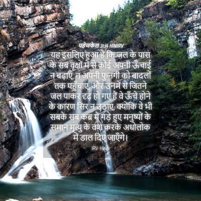 Picture 04 - यहेजकेल 31:14 HINIRV - यह इसलिए हुआ है कि - Bible Verse Picture