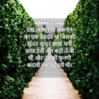 Picture 04 - यहेजकेल 31:3 HINIRV - देख, अश्शूर तो - Bible Verse Picture