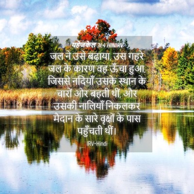 Picture 04 - यहेजकेल 31:4 HINIRV - जल ने उसे बढ़ाया, - Bible Verse Picture