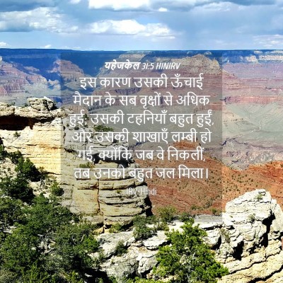 Picture 04 - यहेजकेल 31:5 HINIRV - इस कारण उसकी ऊँचाई - Bible Verse Picture
