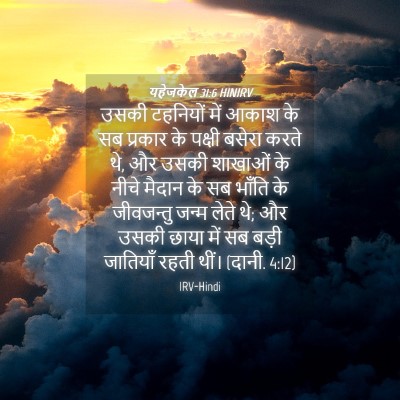 Picture 04 - यहेजकेल 31:6 HINIRV - उसकी टहनियों में - Bible Verse Picture