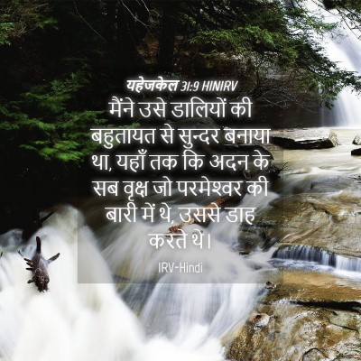 Picture 04 - यहेजकेल 31:9 HINIRV - मैंने उसे डालियों - Bible Verse Picture