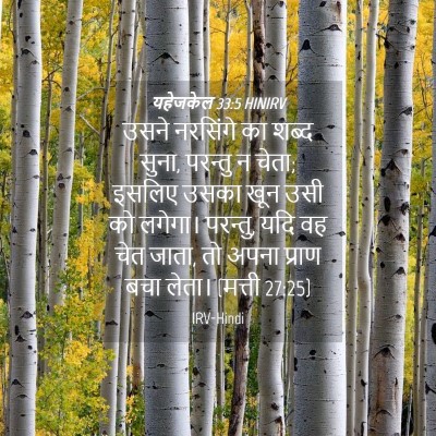 Picture 04 - यहेजकेल 33:5 HINIRV - उसने नरसिंगे का - Bible Verse Picture