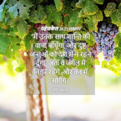 Picture 04 - यहेजकेल 34:25 HINIRV - “मैं उनके साथ - Bible Verse Picture