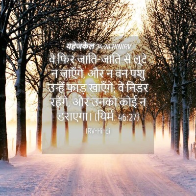 Picture 04 - यहेजकेल 34:28 HINIRV - वे फिर जाति-जाति से - Bible Verse Picture