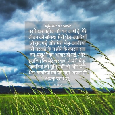 Picture 04 - यहेजकेल 34:8 HINIRV - परमेश्‍वर यहोवा - Bible Verse Picture