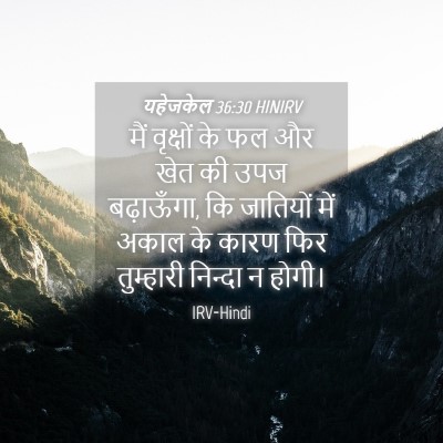 Picture 04 - यहेजकेल 36:30 HINIRV - मैं वृक्षों के फल - Bible Verse Picture