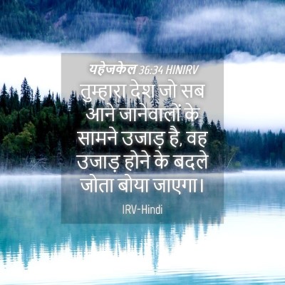 Picture 04 - यहेजकेल 36:34 HINIRV - तुम्हारा देश जो सब - Bible Verse Picture