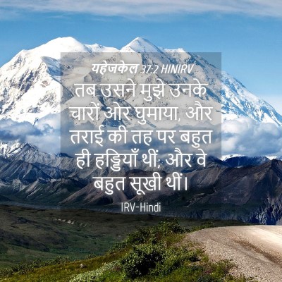 Picture 04 - यहेजकेल 37:2 HINIRV - तब उसने मुझे उनके - Bible Verse Picture