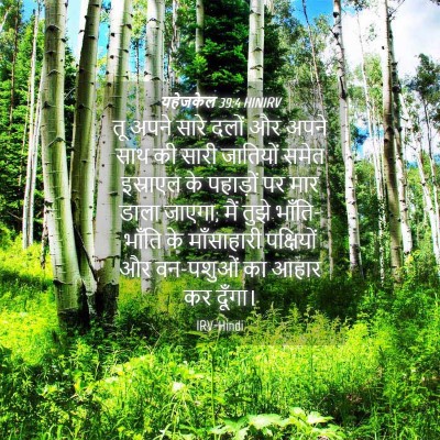 Picture 04 - यहेजकेल 39:4 HINIRV - तू अपने सारे दलों - Bible Verse Picture