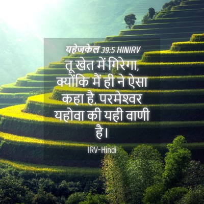Picture 04 - यहेजकेल 39:5 HINIRV - तू खेत में गिरेगा, - Bible Verse Picture