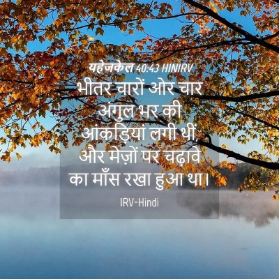 Picture 04 - यहेजकेल 40:43 HINIRV - भीतर चारों ओर चार - Bible Verse Picture