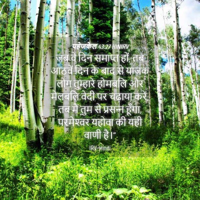 Picture 04 - यहेजकेल 43:27 HINIRV - जब वे दिन समाप्त - Bible Verse Picture
