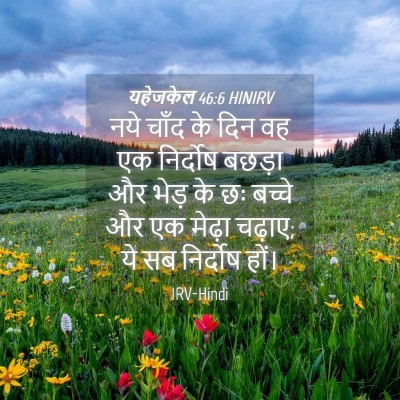 Picture 04 - यहेजकेल 46:6 HINIRV - नये चाँद के दिन वह - Bible Verse Picture
