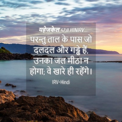Picture 04 - यहेजकेल 47:11 HINIRV - परन्तु ताल के पास - Bible Verse Picture