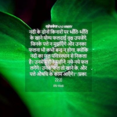 Picture 04 - यहेजकेल 47:12 HINIRV - नदी के दोनों - Bible Verse Picture