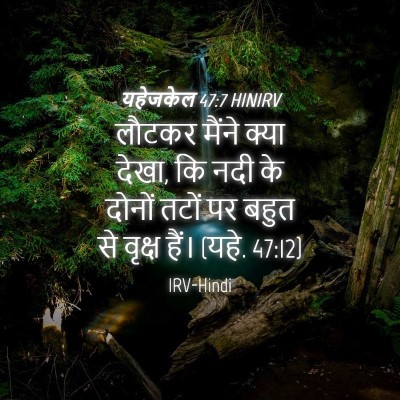 Picture 04 - यहेजकेल 47:7 HINIRV - लौटकर मैंने क्या - Bible Verse Picture