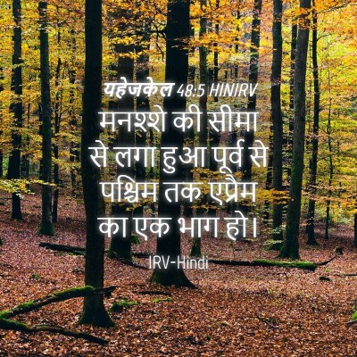 Picture 04 - यहेजकेल 48:5 HINIRV - मनश्शे की सीमा से - Bible Verse Picture