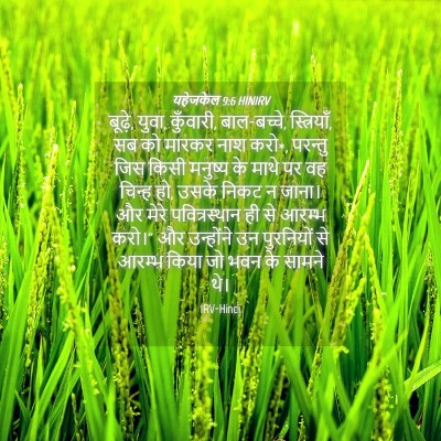 Picture 04 - यहेजकेल 9:6 HINIRV - बूढ़े, युवा, - Bible Verse Picture