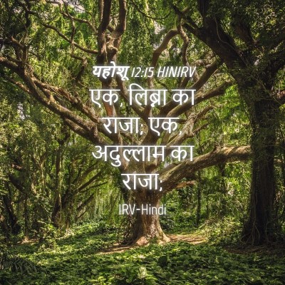 Picture 04 - यहोशू 12:15 HINIRV - एक, लिब्ना का राजा; - Bible Verse Picture