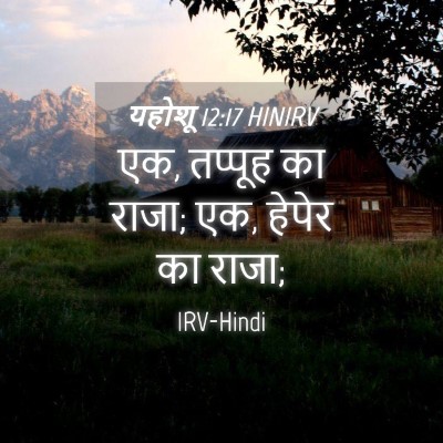Picture 04 - यहोशू 12:17 HINIRV - एक, तप्पूह का राजा; - Bible Verse Picture
