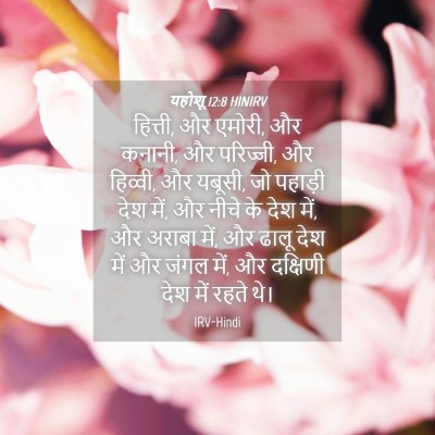 Picture 04 - यहोशू 12:8 HINIRV - हित्ती, और एमोरी, - Bible Verse Picture