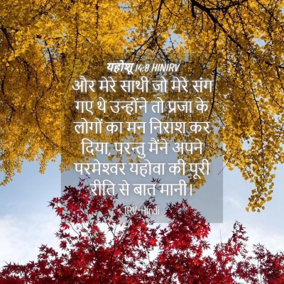 Picture 04 - यहोशू 14:8 HINIRV - और मेरे साथी जो - Bible Verse Picture