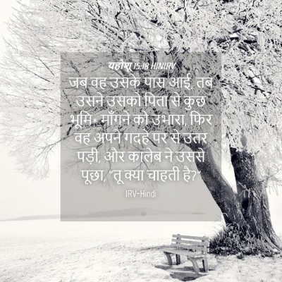 Picture 04 - यहोशू 15:18 HINIRV - जब वह उसके पास आई, - Bible Verse Picture