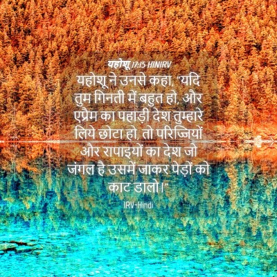 Picture 04 - यहोशू 17:15 HINIRV - यहोशू ने उनसे कहा, - Bible Verse Picture