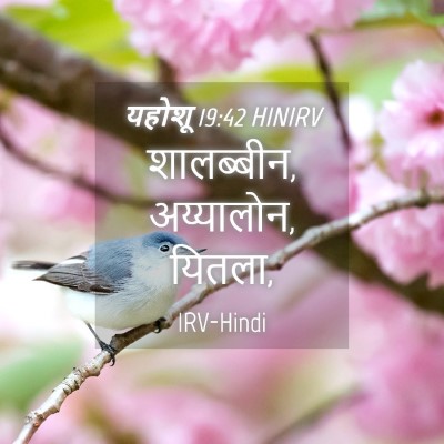Picture 04 - यहोशू 19:42 HINIRV - शालब्बीन, - Bible Verse Picture