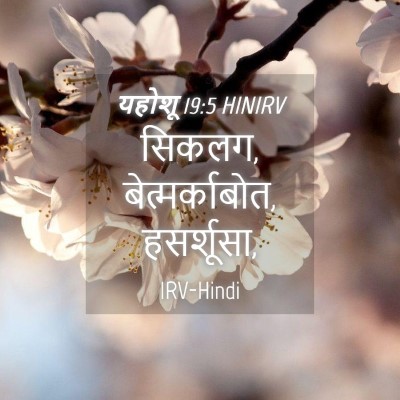 Picture 04 - यहोशू 19:5 HINIRV - सिकलग, - Bible Verse Picture