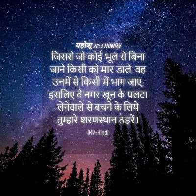 Picture 04 - यहोशू 20:3 HINIRV - जिससे जो कोई भूल से - Bible Verse Picture