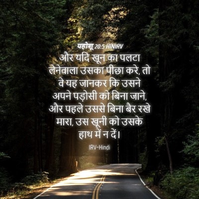 Picture 04 - यहोशू 20:5 HINIRV - और यदि खून का पलटा - Bible Verse Picture