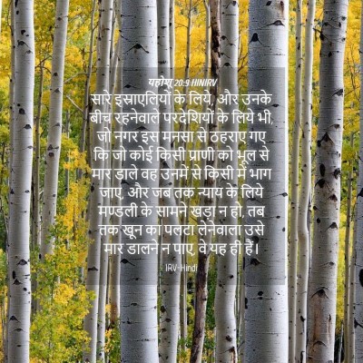 Picture 04 - यहोशू 20:9 HINIRV - सारे इस्राएलियों - Bible Verse Picture