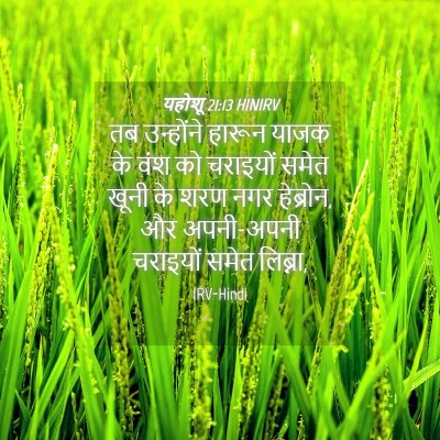 Picture 04 - यहोशू 21:13 HINIRV - तब उन्होंने हारून - Bible Verse Picture