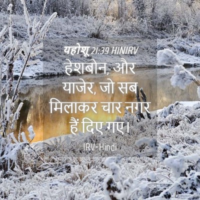 Picture 04 - यहोशू 21:39 HINIRV - हेशबोन, और याजेर, - Bible Verse Picture