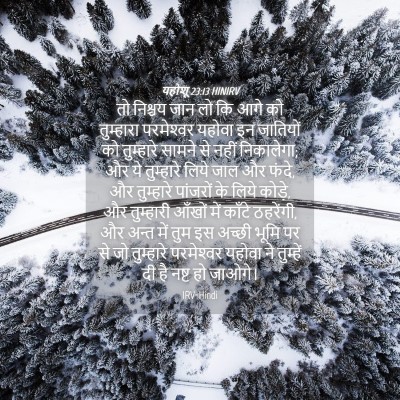 Picture 04 - यहोशू 23:13 HINIRV - तो निश्चय जान लो कि - Bible Verse Picture