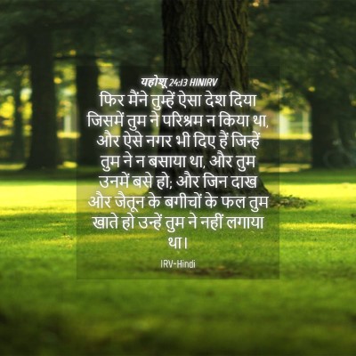 Picture 04 - यहोशू 24:13 HINIRV - फिर मैंने तुम्हें - Bible Verse Picture