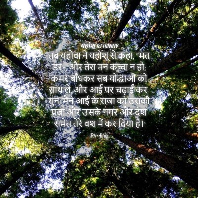 Picture 04 - यहोशू 8:1 HINIRV - तब यहोवा ने यहोशू - Bible Verse Picture