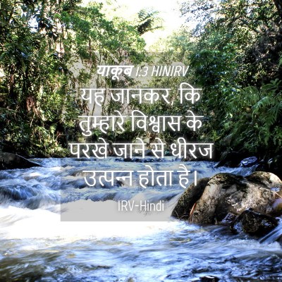 Picture 04 - याकूब 1:3 HINIRV - यह जानकर, कि - Bible Verse Picture