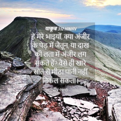 Picture 04 - याकूब 3:12 HINIRV - हे मेरे भाइयों, - Bible Verse Picture