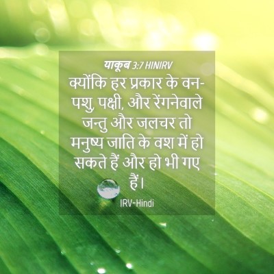Picture 04 - याकूब 3:7 HINIRV - क्योंकि हर प्रकार - Bible Verse Picture