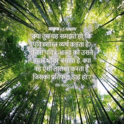 Picture 04 - याकूब 4:5 HINIRV - क्या तुम यह समझते - Bible Verse Picture