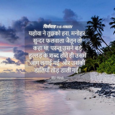 Picture 04 - यिर्मयाह 11:16 HINIRV - यहोवा ने तुझको हरा, - Bible Verse Picture