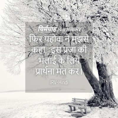 Picture 04 - यिर्मयाह 14:11 HINIRV - फिर यहोवा ने मुझसे - Bible Verse Picture