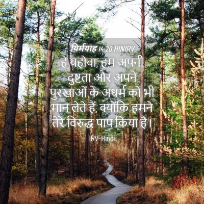 Picture 04 - यिर्मयाह 14:20 HINIRV - हे यहोवा, हम अपनी - Bible Verse Picture