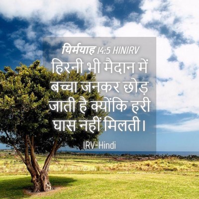 Picture 04 - यिर्मयाह 14:5 HINIRV - हिरनी भी मैदान में - Bible Verse Picture