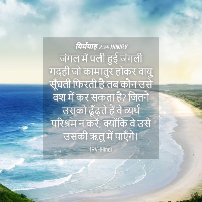 Picture 04 - यिर्मयाह 2:24 HINIRV - जंगल में पली हुई - Bible Verse Picture