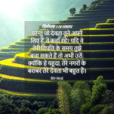 Picture 04 - यिर्मयाह 2:28 HINIRV - परन्तु जो देवता - Bible Verse Picture